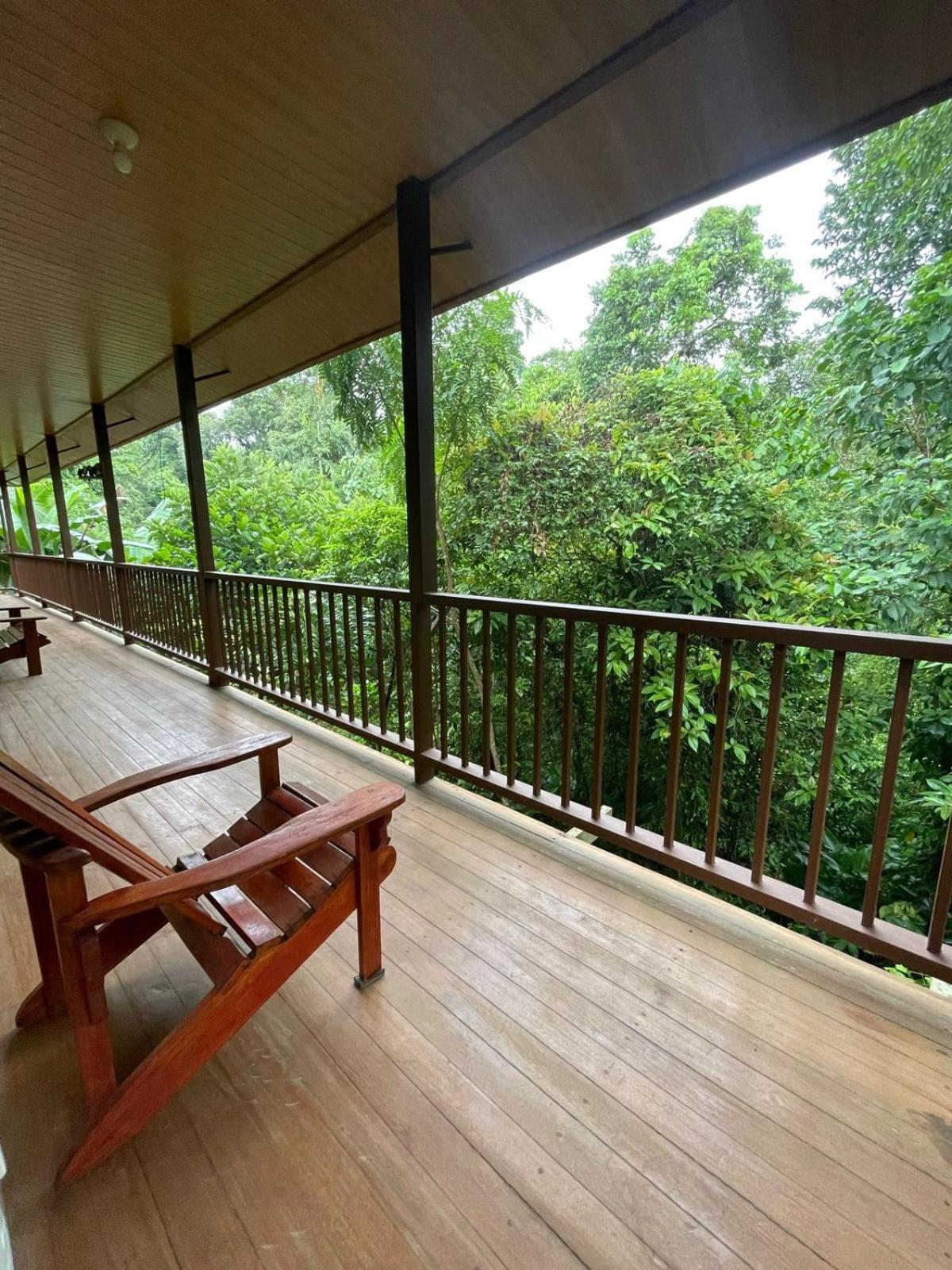 Apartamentos Caligo de Osa Drake Bay Exterior foto